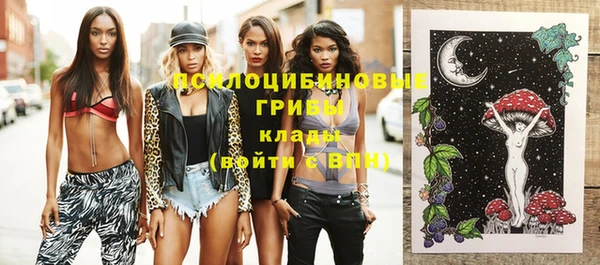 ГАЛЛЮЦИНОГЕННЫЕ ГРИБЫ Алексеевка