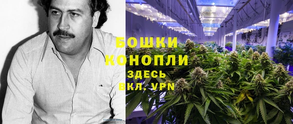ГАЛЛЮЦИНОГЕННЫЕ ГРИБЫ Алексеевка